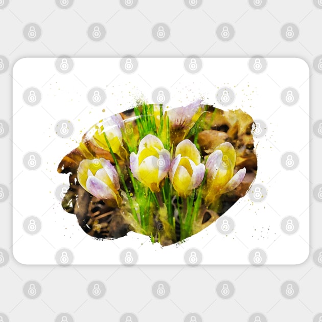 Spring Crocus 7 Sticker by Robert Alsop